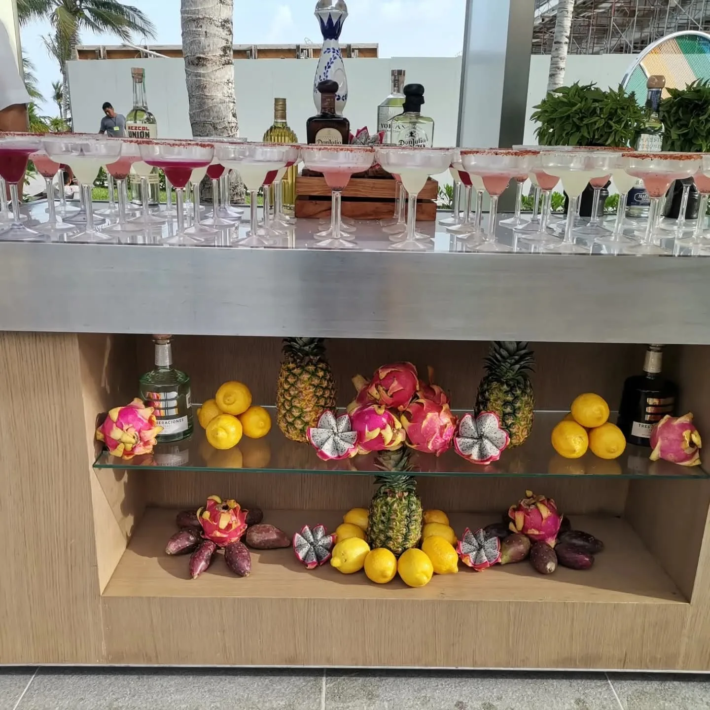 Prepared bar with rows of glasses, tropical fruit, bottles and two people behind it.